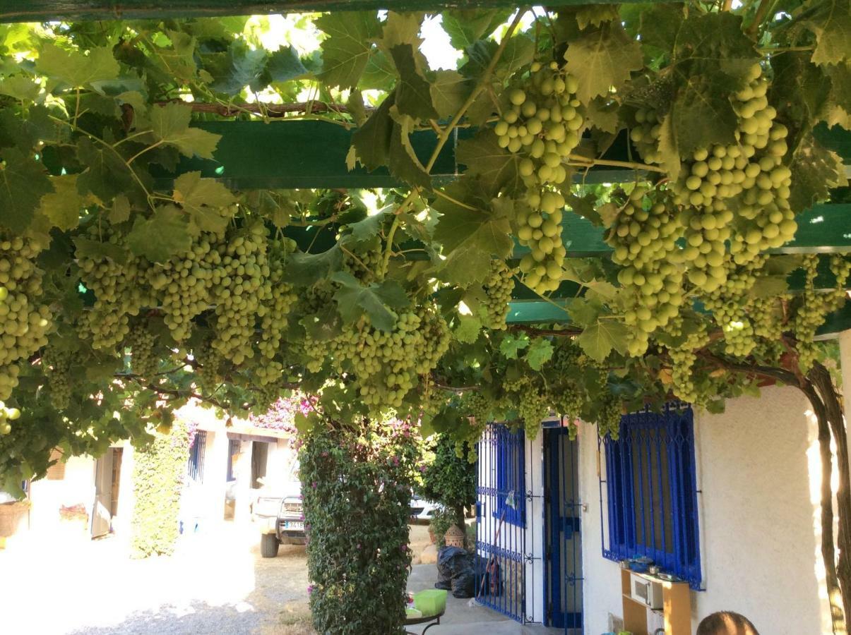La Casa De Las Higueras Dar Karmus Tétouan Exterior foto